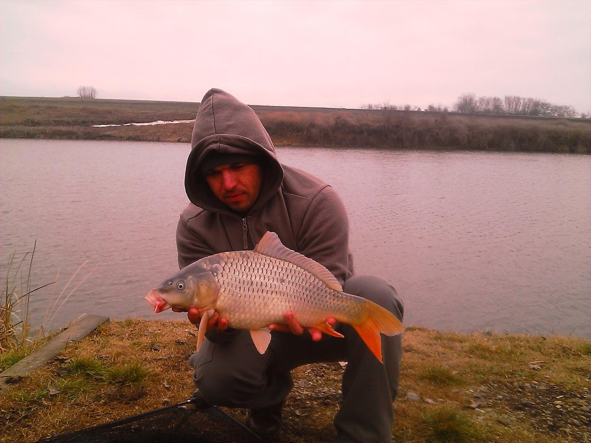 Sulimanu 23 - 23 feb. - wp20140223003.jpg